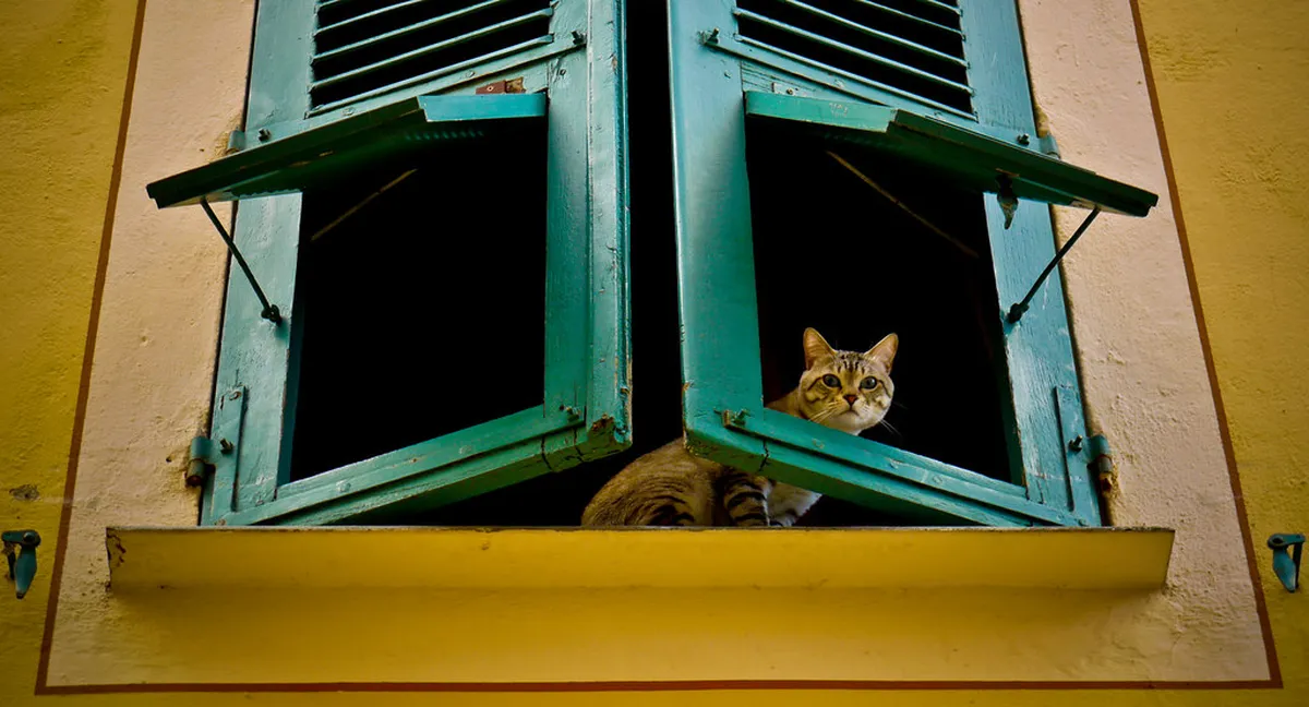 Ajaccio Architecture Walking Tour: A 2025 Guide